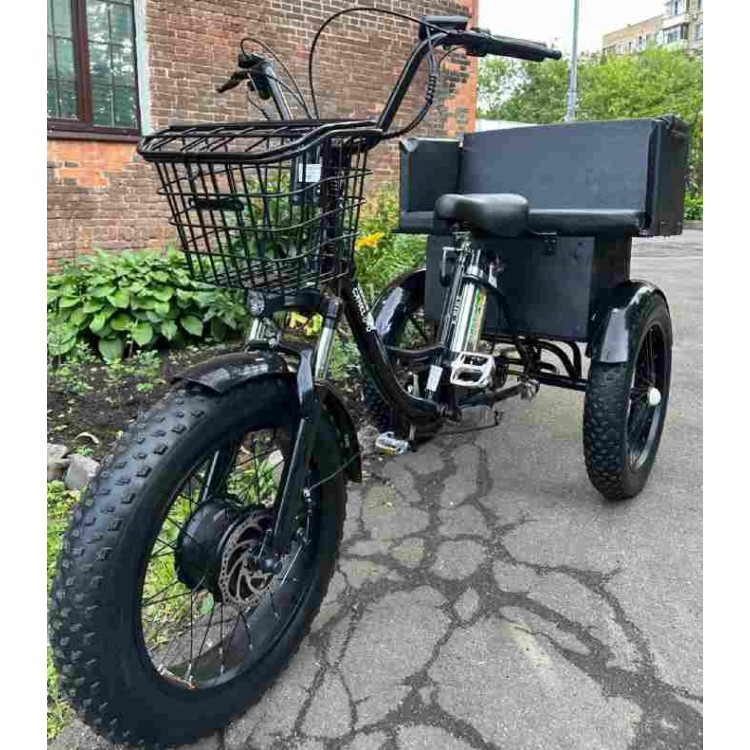 Электровелосипед Fat Trike T LUX с задним сиденьем фото3